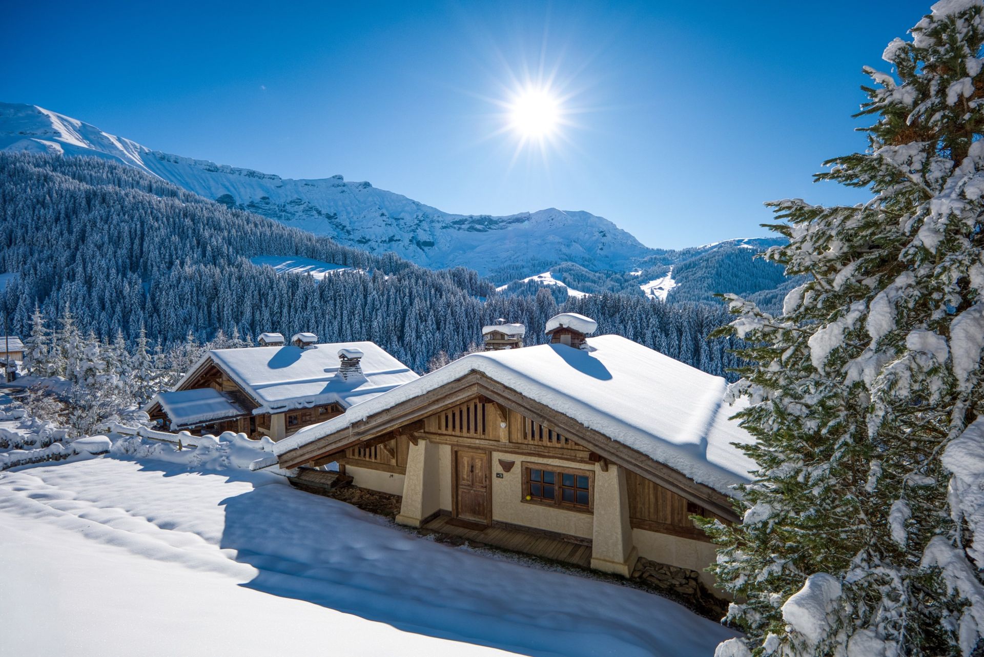 luxury chalet 12 Rooms for sale on MEGEVE (74120)