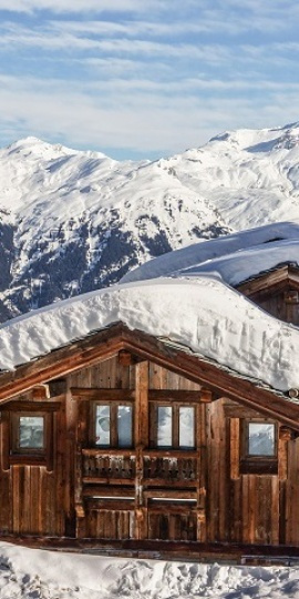 Appartements Pieds des pistes